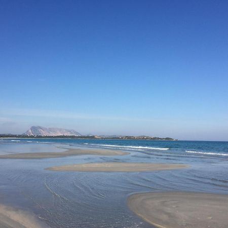 סאן תאודורו Hotel Al Faro Spiaggia La Cinta Santeodoro מראה חיצוני תמונה