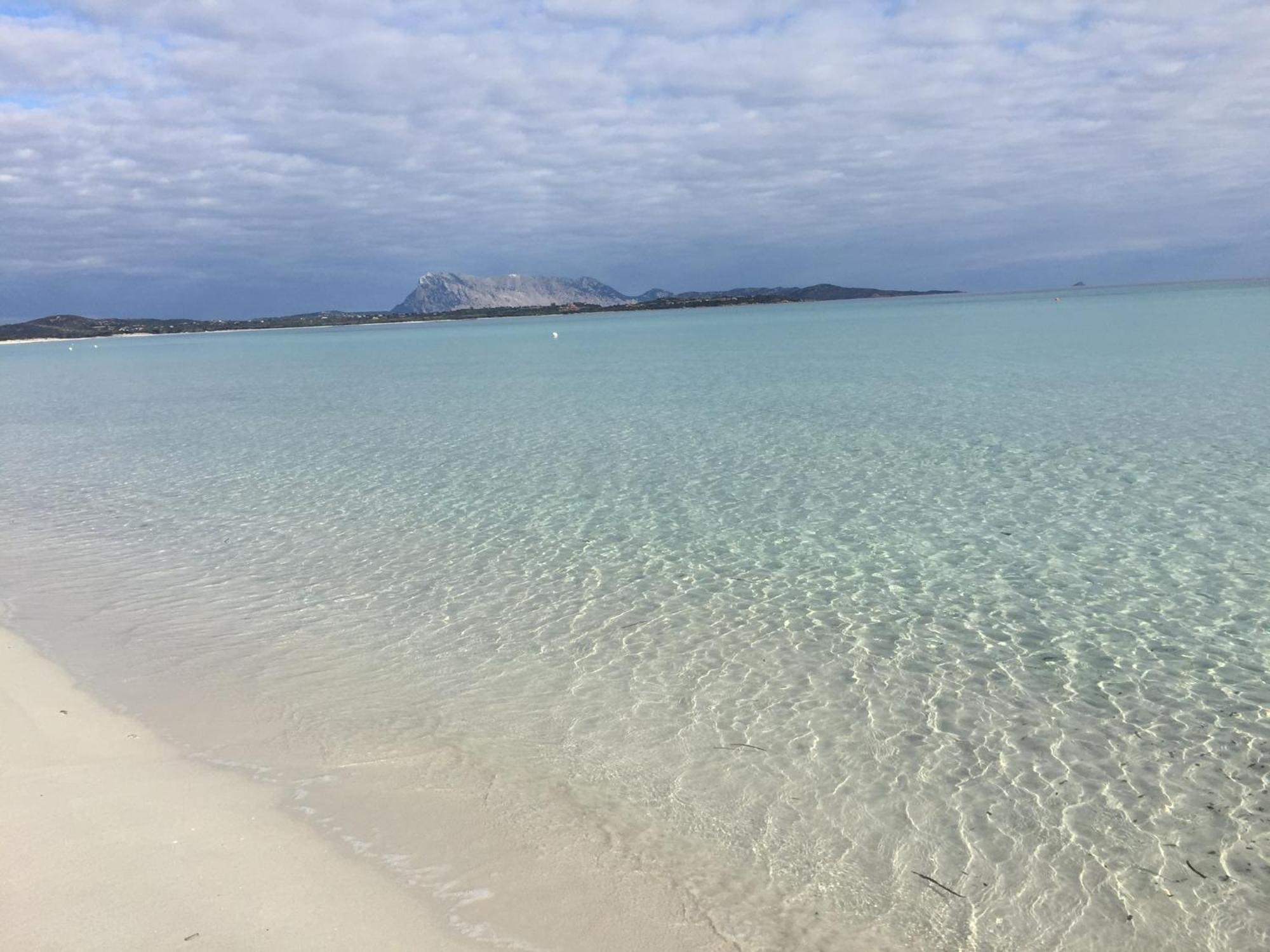 סאן תאודורו Hotel Al Faro Spiaggia La Cinta Santeodoro מראה חיצוני תמונה